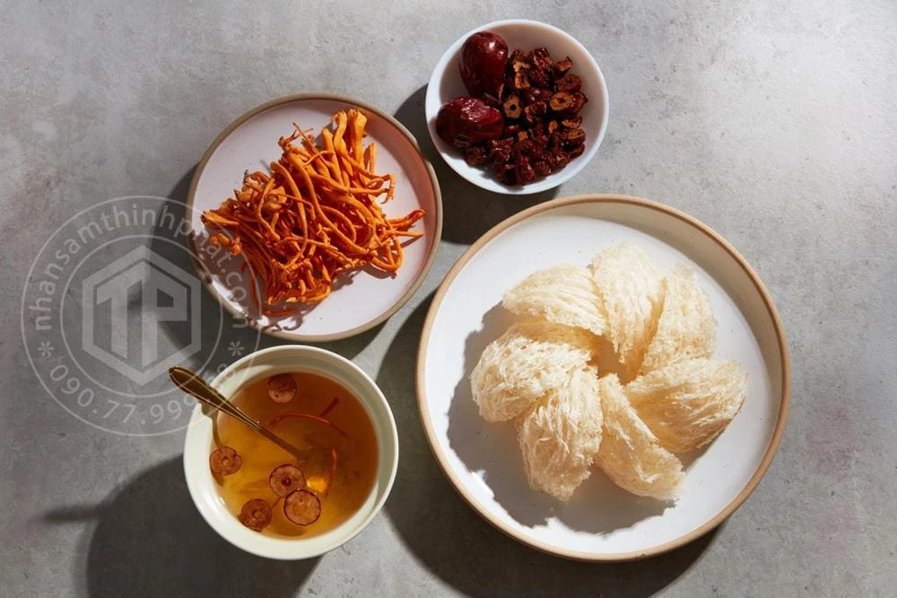 Bạn có thể chưng yến sào cùng đông trùng hạ thảo cho người già sử dụng