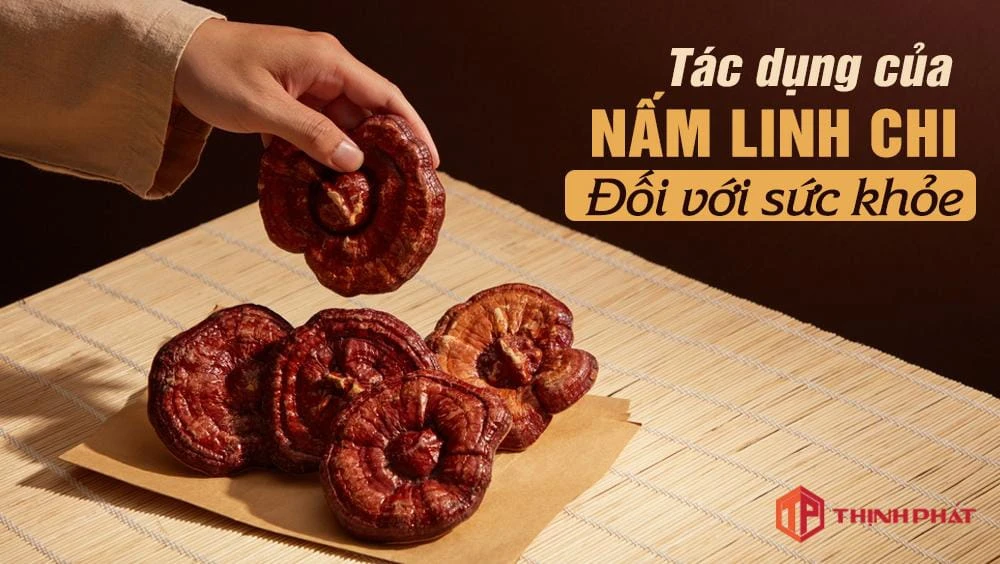 Tác dụng của nấm linh chi đối với sức khỏe Tác dụng của nấm linh chi đối với sức khỏe