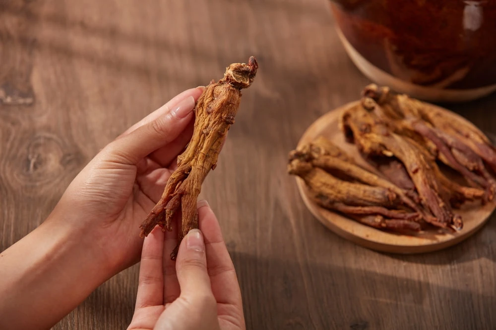 Hồng sâm Hàn Quốc được chế biến từ nhân sâm 6 năm tuổi