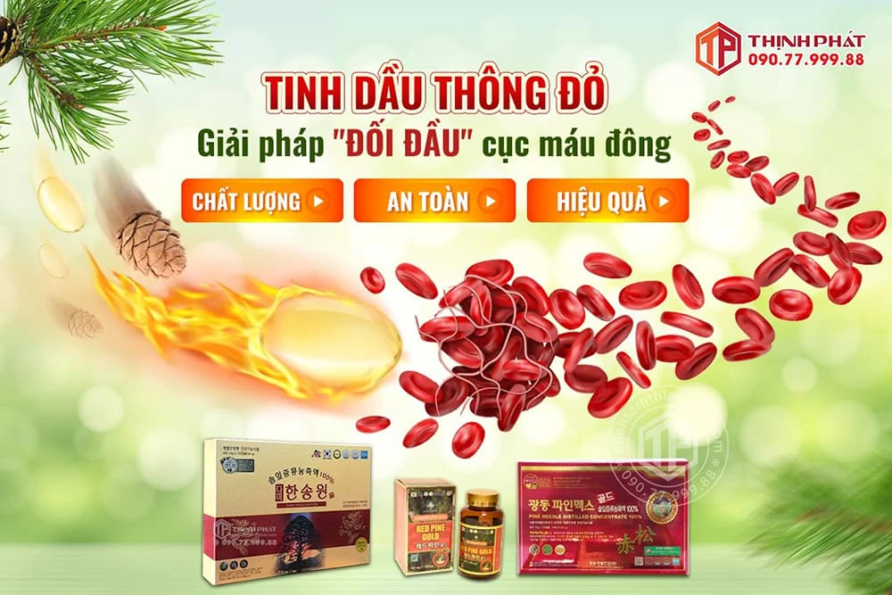 Tinh Dầu Thông Đỏ - Giải Pháp Đối Đầu Cục Máu Đông
