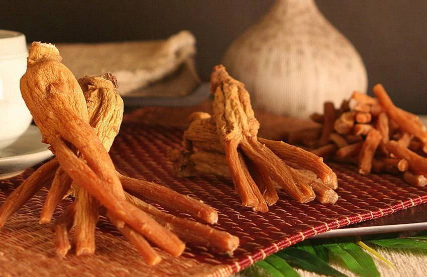 Hồng sâm giúp tăng tuần hoàn máu, ngừa xơ vữa động mạch