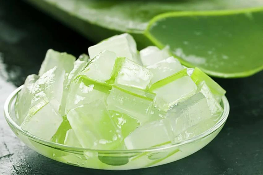 Nha đam có thể chế biến nhiều món ăn, thức uống thanh mát
