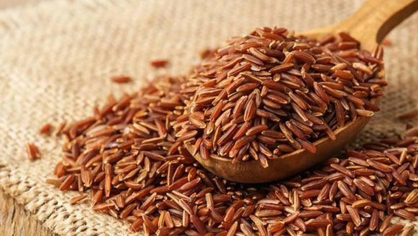 Trong gạo lứt có chứa nhiều chất xơ giúp đường ruột hoạt động trơn tru hơn
