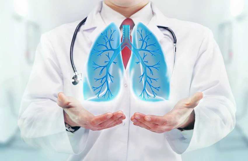 Bổ phế, cải thiện chức năng hô hấp Bổ phế, cải thiện chức năng hô hấp