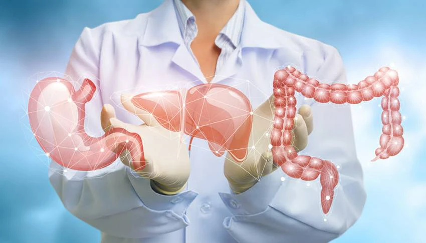 Tăng cường hoạt động tiêu hóa Tăng cường hoạt động tiêu hóa