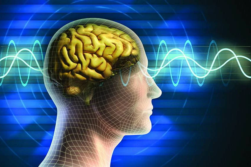 Tăng cường hoạt động hệ thần kinh Tăng cường hoạt động hệ thần kinh