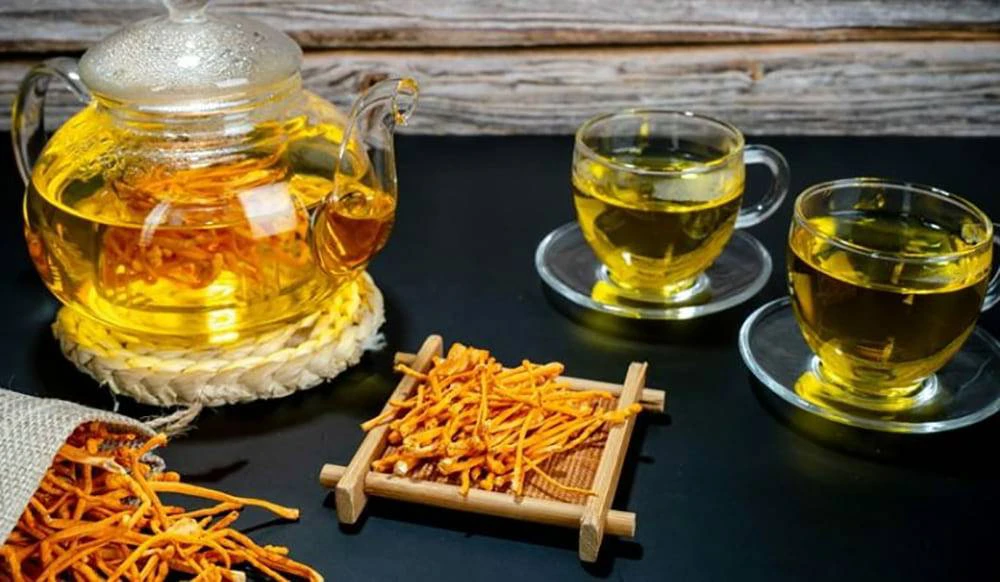 Trà đông trùng hạ thảo dễ thực hiện, mang đến hiệu quả cao Trà đông trùng hạ thảo dễ thực hiện, mang đến hiệu quả cao