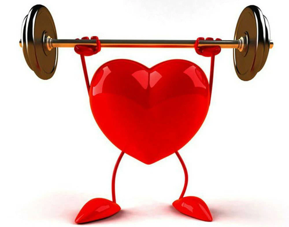 Sử dụng đông trùng hạ thảo giúp bạn có một quả tim khỏe