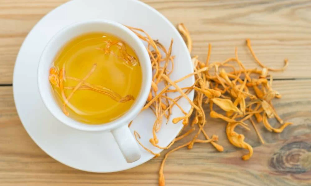Nên chú ý liều lượng khi sử dụng đông trùng hạ thảo
