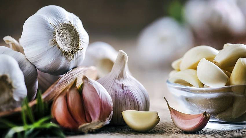 Tỏi không chỉ giúp tăng đề kháng mà còn giúp cải thiện nồng độ estrogen Tỏi không chỉ giúp tăng đề kháng mà còn giúp cải thiện nồng độ estrogen