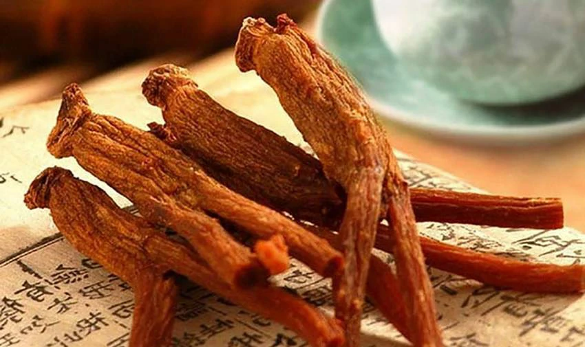 Hồng sâm mang đến tác dụng tăng cường miễn dịch tuyệt vời Hồng sâm mang đến tác dụng tăng cường miễn dịch tuyệt vời