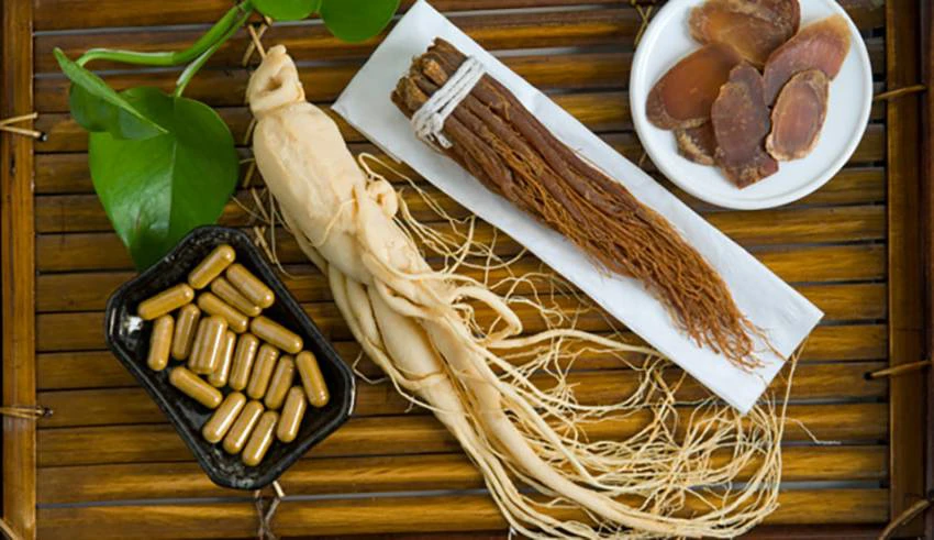 Nhân sâm giúp tăng tuần hoàn máu, tăng sức đề kháng hiệu quả