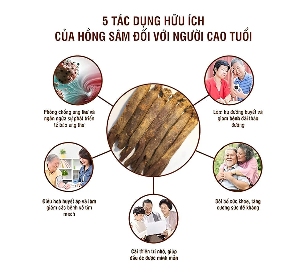 Sử dụng hồng sâm giúp người cao tuổi cải thiện nhiều vấn đề sức khỏe Sử dụng hồng sâm giúp người cao tuổi cải thiện nhiều vấn đề sức khỏe