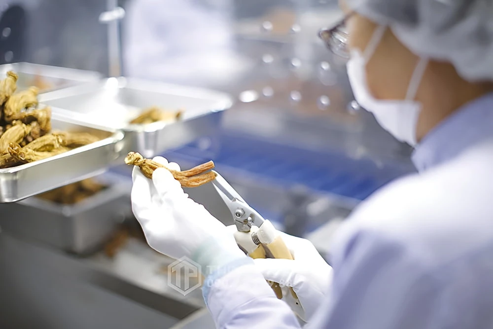 Hồng sâm chất lượng cao thường được sản xuất với công nghệ hiện đại Hồng sâm chất lượng cao thường được sản xuất với công nghệ hiện đại