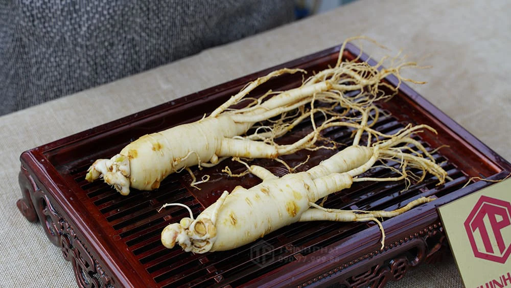 củ sâm tươi hàn quốc 6 năm củ sâm tươi hàn quốc 6 năm