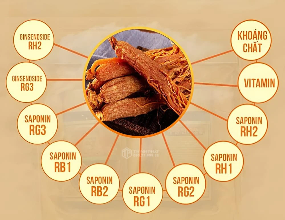 Có đến 34 loại saponin trong hồng sâm Hàn Quốc 6 năm tuổi Có đến 34 loại saponin trong hồng sâm Hàn Quốc 6 năm tuổi