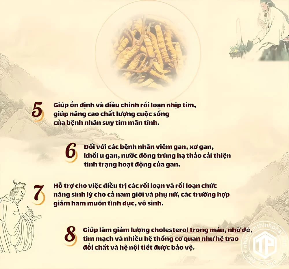 Tác dụng nước đông trùng hạ thảo
