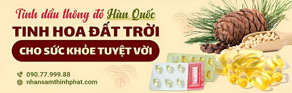 Tinh Dầu Thông Đỏ Hàn Quốc - Tinh Hoa Đất Tròi Cho Sức Khỏe Tuyệt Vời Tinh Dầu Thông Đỏ Hàn Quốc - Tinh Hoa Đất Tròi Cho Sức Khỏe Tuyệt Vời