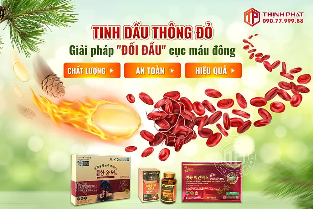 Tinh dầu thông đỏ Hàn Quốc là thảo dược quý với nhiều công dụng tốt cho sức khỏe Tinh dầu thông đỏ Hàn Quốc là thảo dược quý với nhiều công dụng tốt cho sức khỏe