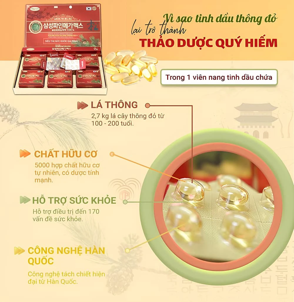 Tại sao tinh dầu thông đỏ lại trở thành thảo dược quý hiếm? Tại sao tinh dầu thông đỏ lại trở thành thảo dược quý hiếm?