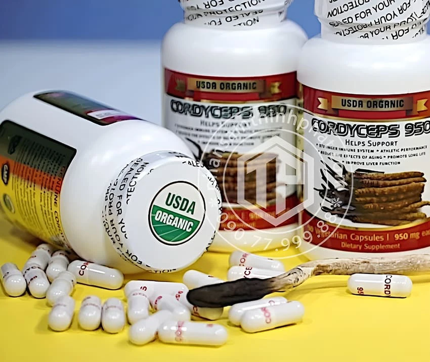 Đông trùng hạ thảo Cordyceps 950 của Mỹ hộp 90 viên Đông trùng hạ thảo Cordyceps 950 của Mỹ hộp 90 viên