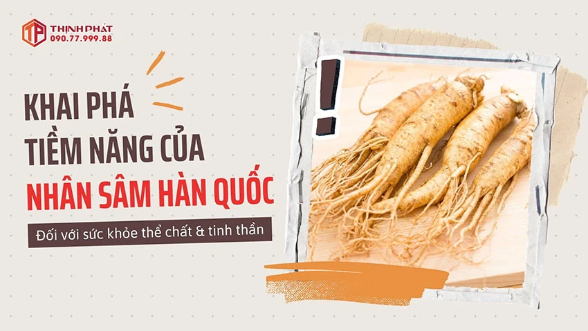 Khai phá tiềm năng của nhân sâm Hàn Quốc