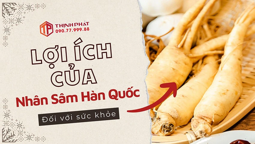 Lợi ích của nhân sâm Hàn Quốc đối với sức khỏe
