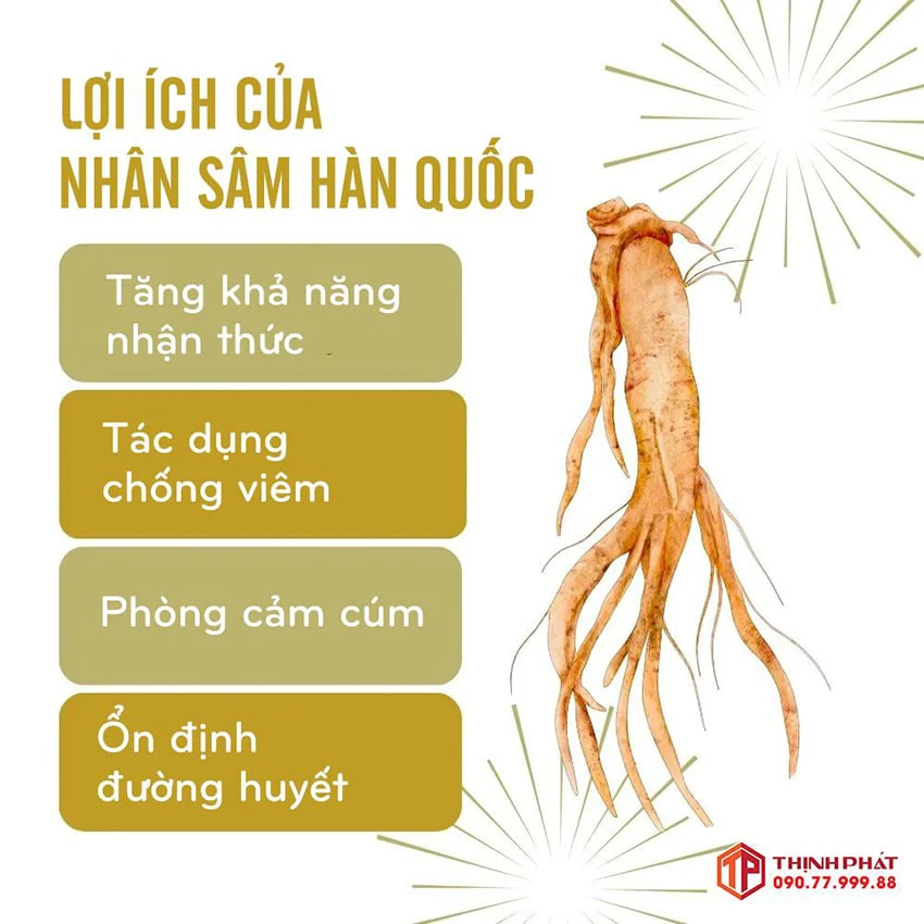 Nhân sâm Hàn Quốc sở hữu nhiều lợi ích tốt cho sức khỏe
