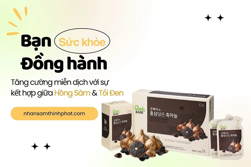 Tặng cường miễn dịch với sự kết hợp giữa hồng sâm & tỏi đen