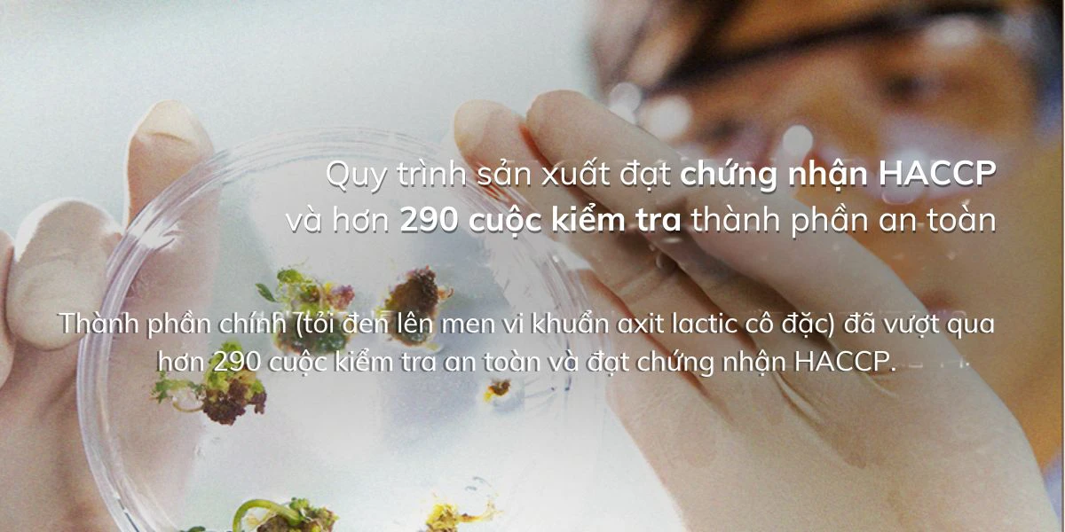 Quy trình sản xuất đạt chứng nhận HACCP