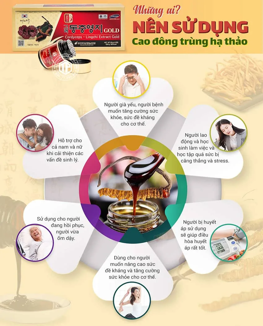 Những ai nên sử dụng cao đông trùng hạ thảo