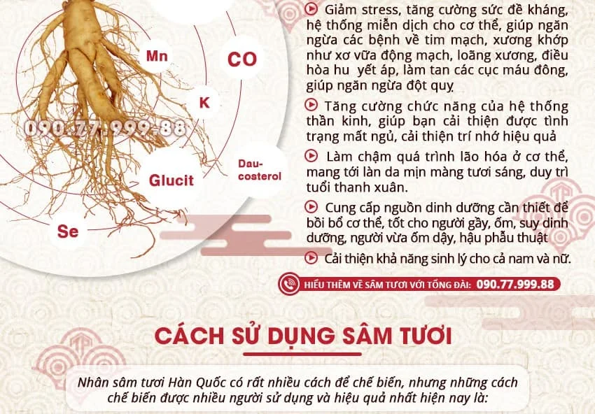 Giới thiệu công dụng, cách sử dụng sâm tươi Hàn Quốc Giới thiệu công dụng, cách sử dụng sâm tươi Hàn Quốc