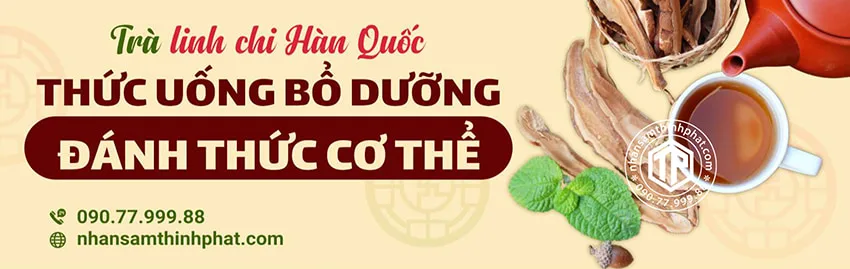 Trà Linh Chi Hàn Quốc - Thức Uống Bổ Dưỡng Đánh Thức Cơ Thể Trà Linh Chi Hàn Quốc - Thức Uống Bổ Dưỡng Đánh Thức Cơ Thể