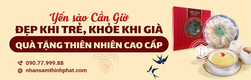 Yến Sào Cần Giờ - Đẹp Khi Trẻ, Khỏe Khi Già