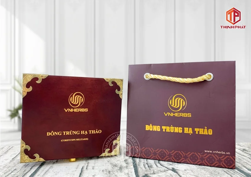 Con đông trùng hạ thảo ký chủ Việt Nam hộp 40 con Con đông trùng hạ thảo ký chủ Việt Nam hộp 40 con
