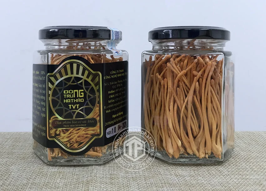 Đông trùng hạ thảo khô Việt Nam hộp 20g Đông trùng hạ thảo khô Việt Nam hộp 20g