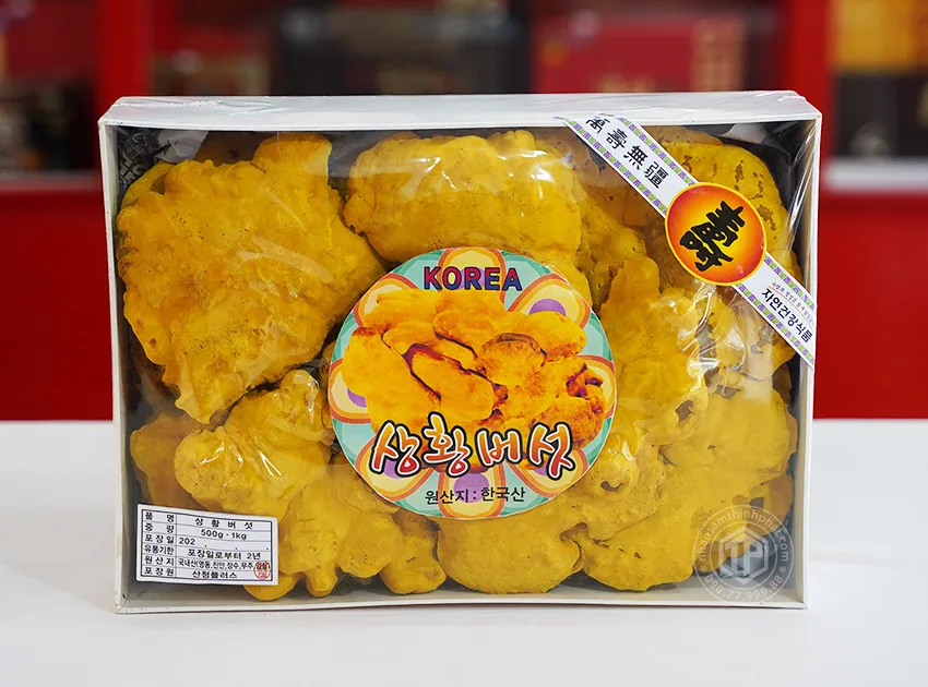 Nấm Thượng Hoàng Hàn Quốc 365 mẫu hộp quà tặng 1kg