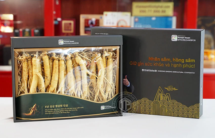 Nhân sâm tươi Hàn Quốc loại 1 nhập khẩu kg 20 củ