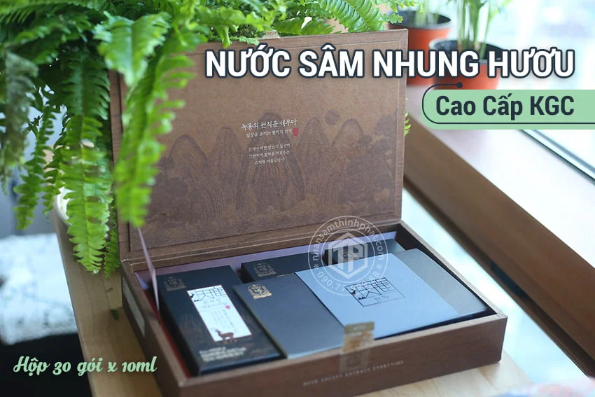 Nước sâm nhung hươu cao cấp KGC sâm chính phủ Jung Kwan Jang hộp 30 gói x 10g