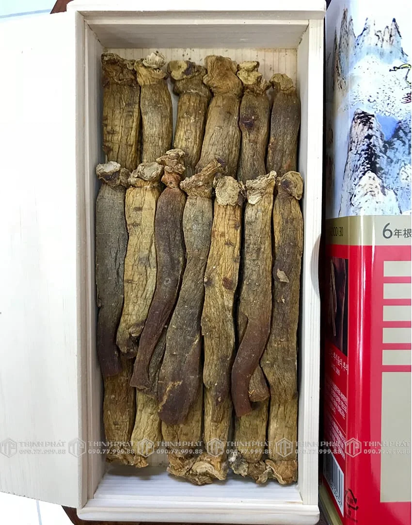 Hồng sâm củ khô KGC 300g 30PCS 19 củ sâm khô Chính phủ Jung Kwan Jang Hồng sâm củ khô KGC 300g 30PCS 19 củ sâm khô Chính phủ Jung Kwan Jang