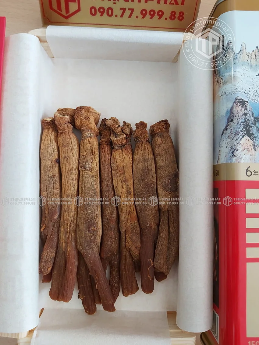 Thiên sâm chính phủ KGC Jung Kwan Jang thượng hạng Heaven 150g 7 củ Thiên sâm chính phủ KGC Jung Kwan Jang thượng hạng Heaven 150g 7 củ