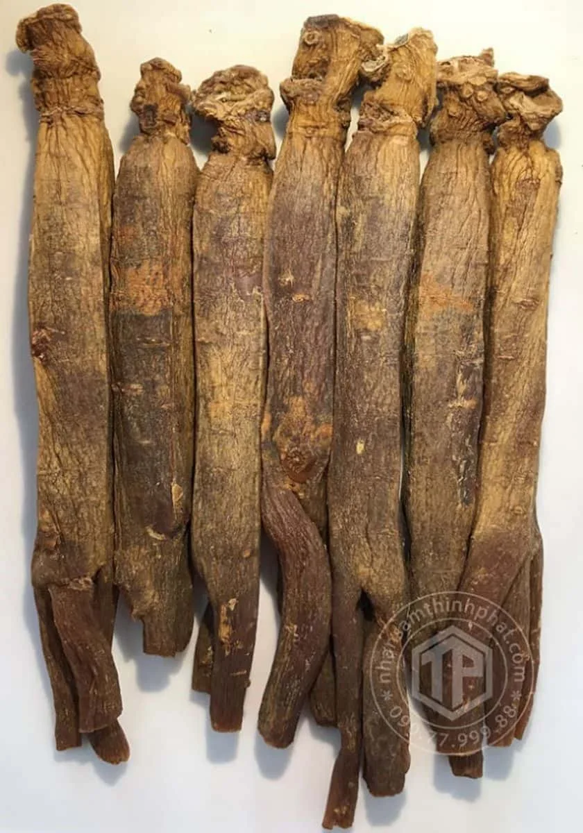 Thiên sâm chính phủ KGC Jung Kwan Jang thượng hạng Heaven 150g 7 củ Thiên sâm chính phủ KGC Jung Kwan Jang thượng hạng Heaven 150g 7 củ