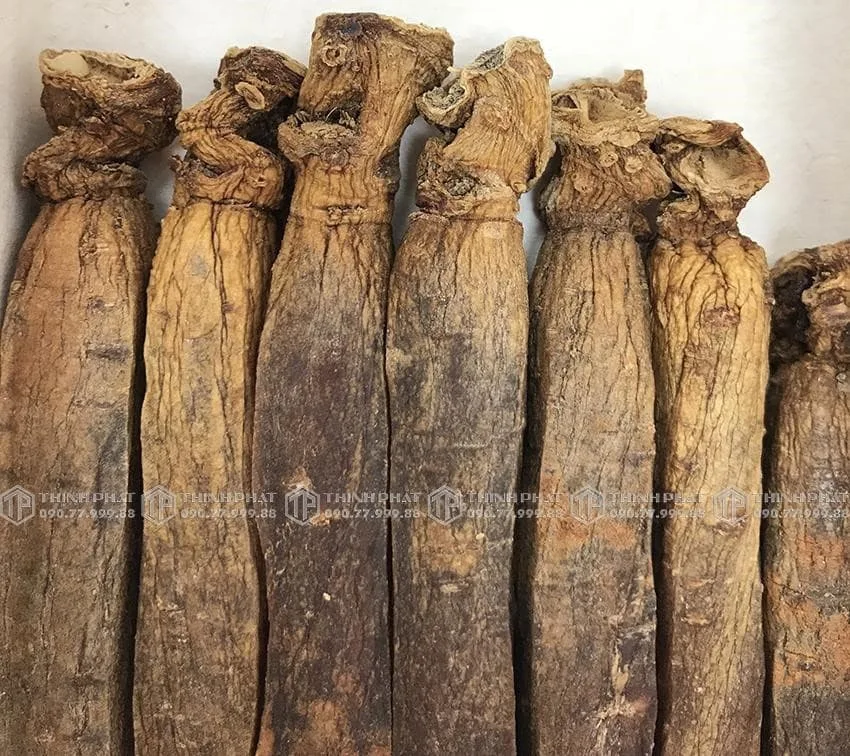 Thiên sâm chính phủ KGC Jung Kwan Jang thượng hạng Heaven 150g 7 củ Thiên sâm chính phủ KGC Jung Kwan Jang thượng hạng Heaven 150g 7 củ