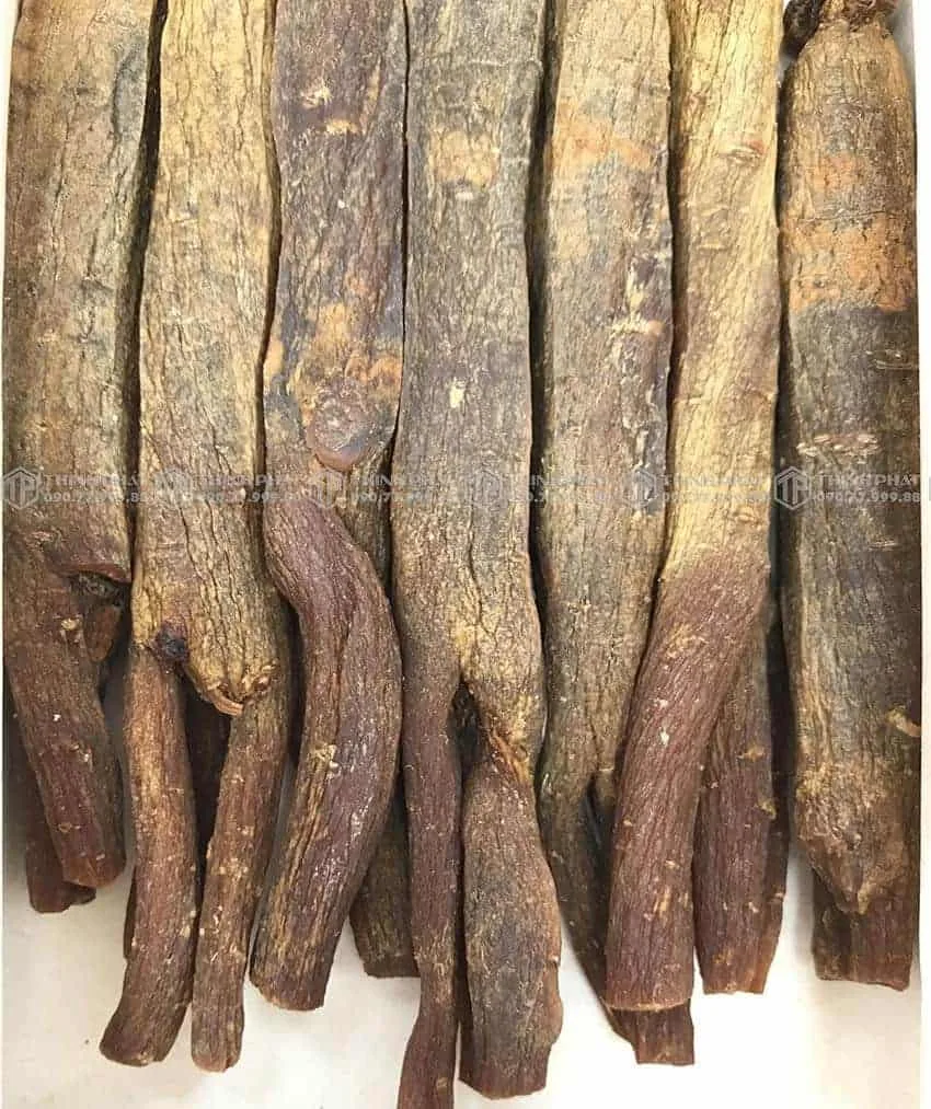 Thiên sâm chính phủ KGC Jung Kwan Jang thượng hạng Heaven 150g 7 củ Thiên sâm chính phủ KGC Jung Kwan Jang thượng hạng Heaven 150g 7 củ